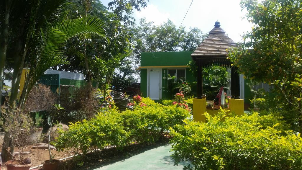 Sunshine Guest House India Tiruvannāmalai Exteriér fotografie
